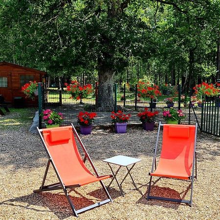 Le Chalet Des Pins Hotel Rougeou Luaran gambar