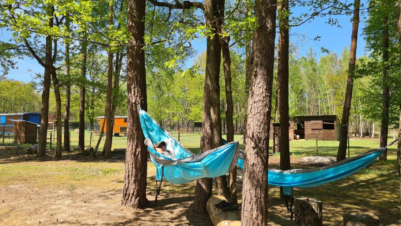 Le Chalet Des Pins Hotel Rougeou Luaran gambar